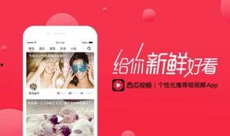 娱乐吃瓜封面如何做视频,揭秘热门内容制作全流程